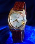 1966 Bulova Mens dial