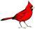 Profile picture for user redbird33