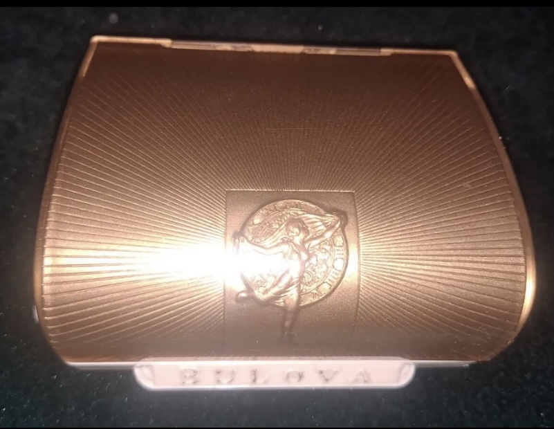 Medical Professional watch case