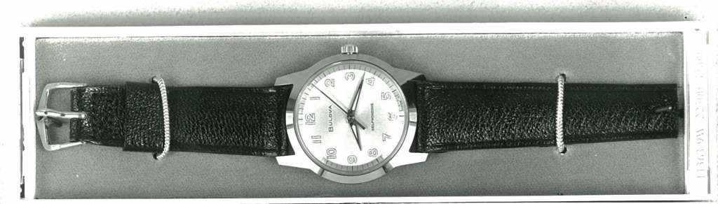 Sea King BW