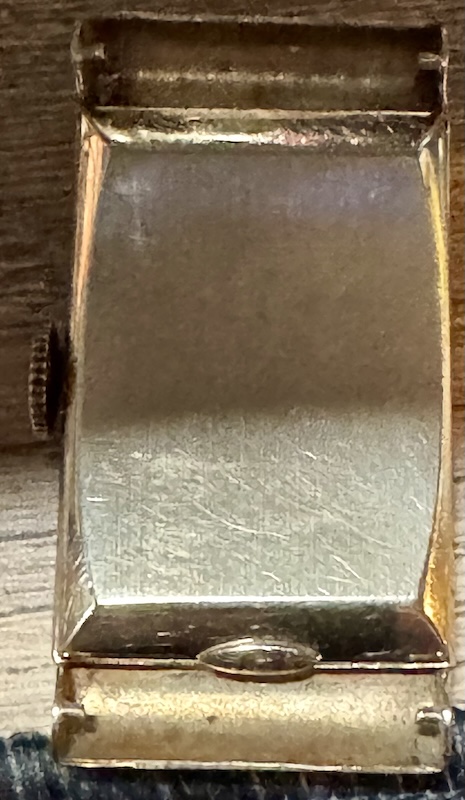 Back case in watch.