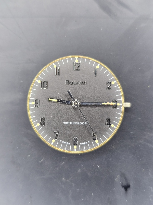 Dial w/o crystal