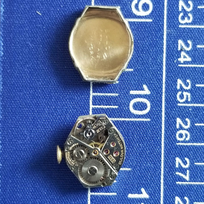 movement and inside caseback