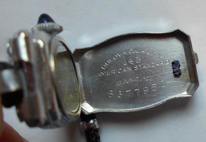 Inside Case Back