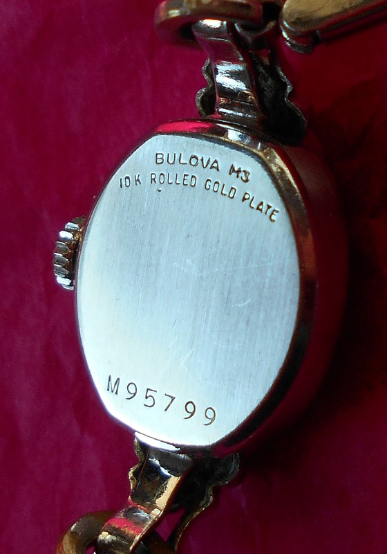 Case back