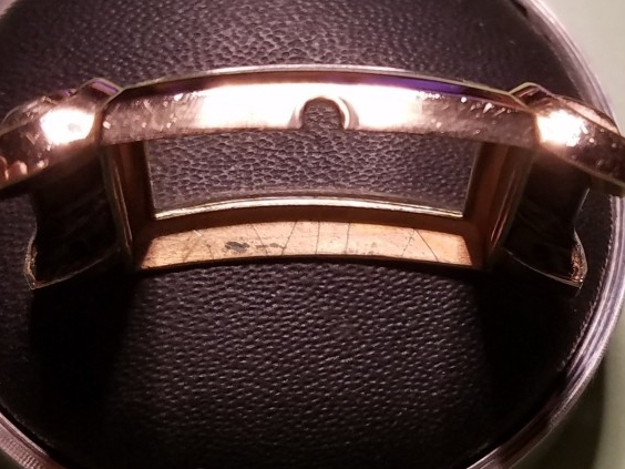 Inside case bezel