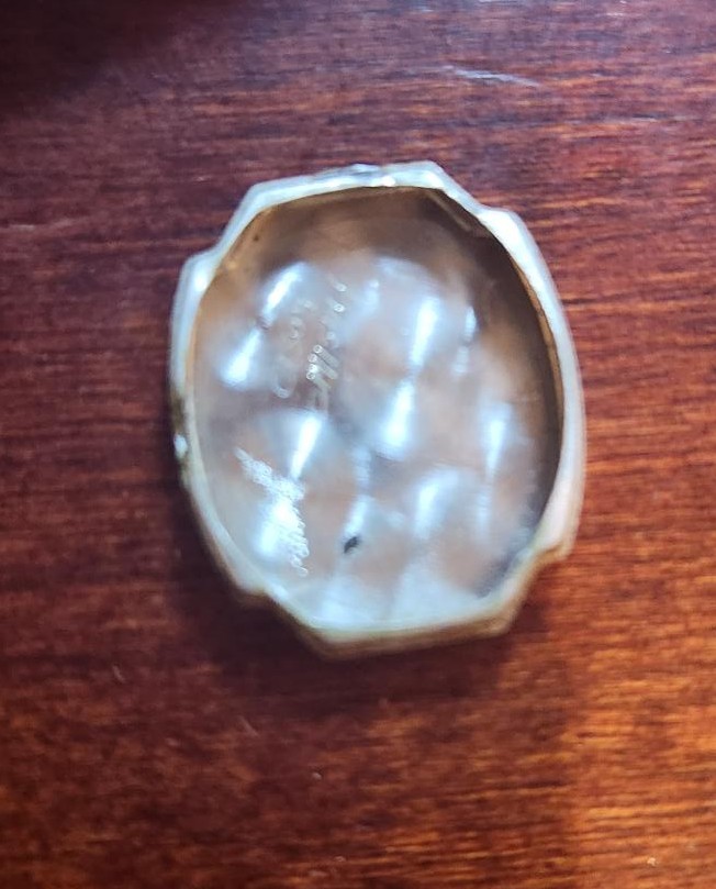 picture of back case