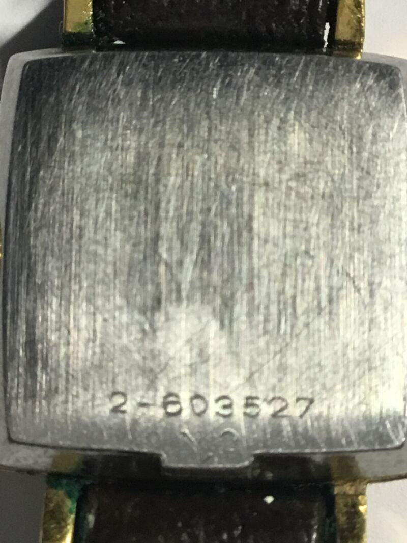 Case Back