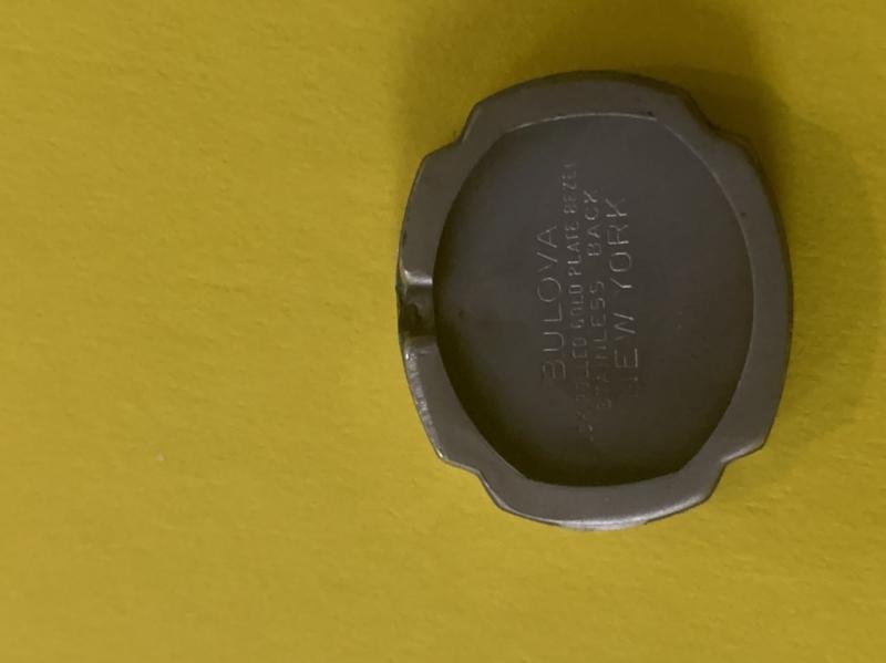 Reverse of back