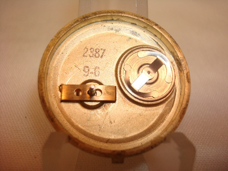 Case Back