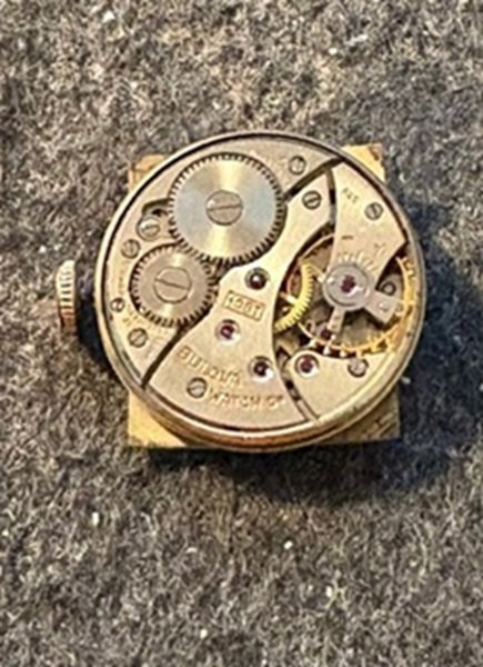 Ambassador F Movement