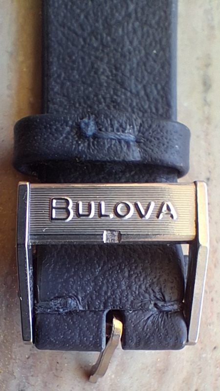 watch buckle