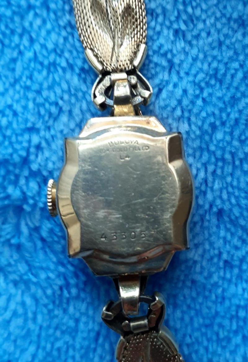Back of watch case