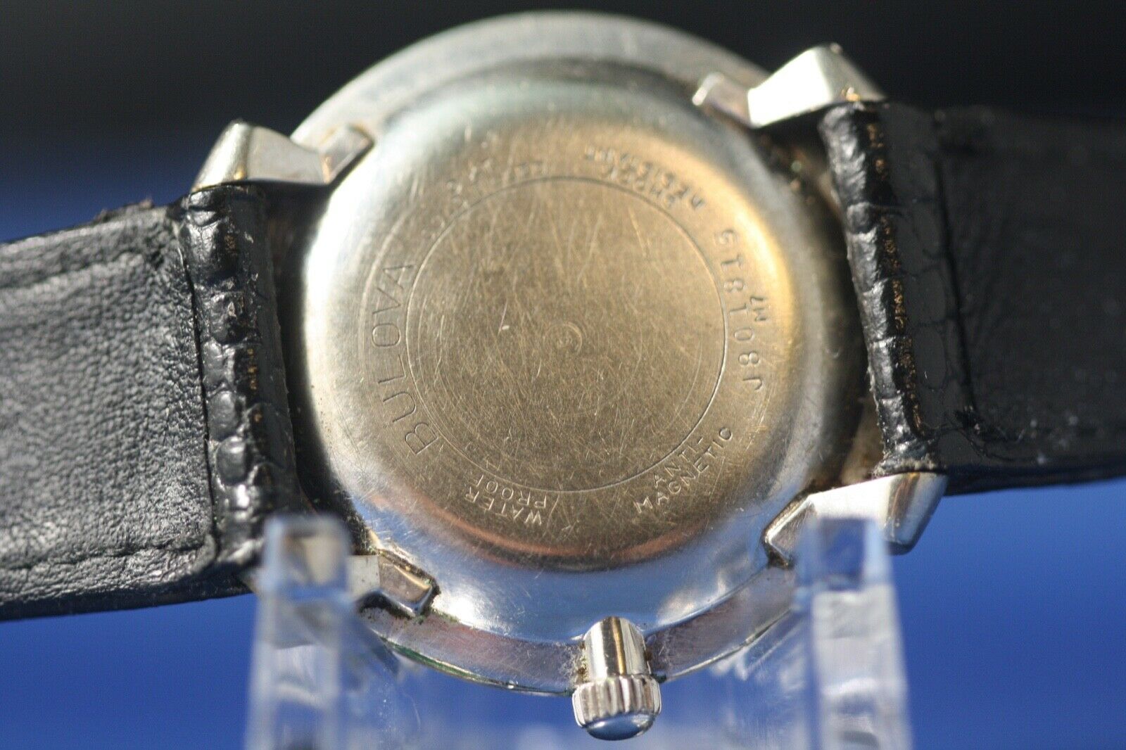 Bulova whale