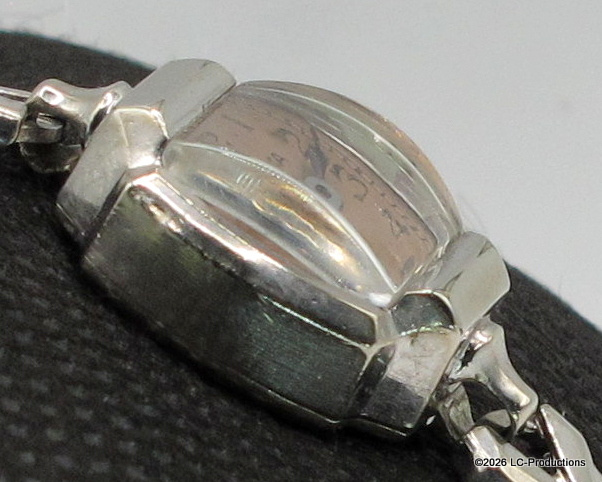 case side view detail