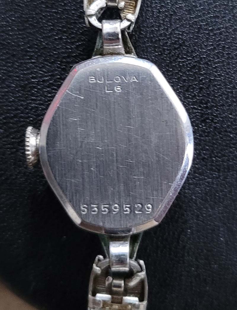 Case back