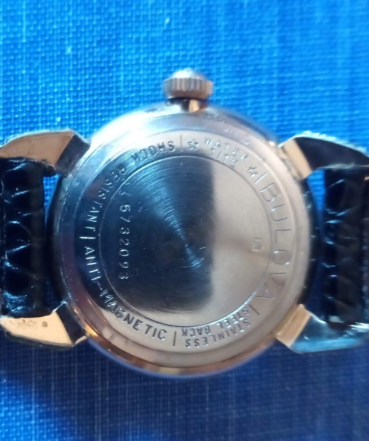 Watch Back