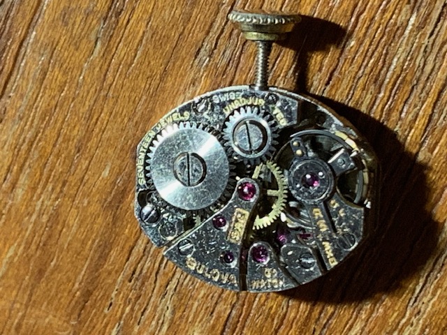 50 Lady Berkshire Movement