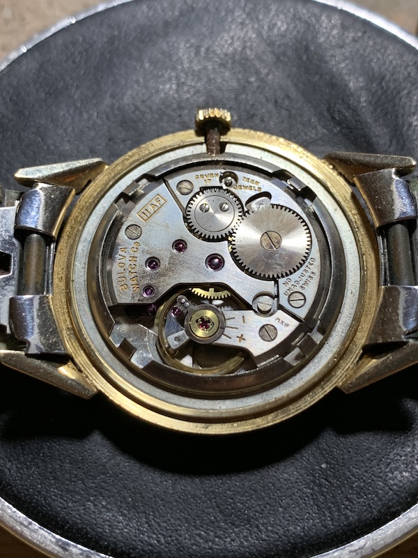 59 Jaguar