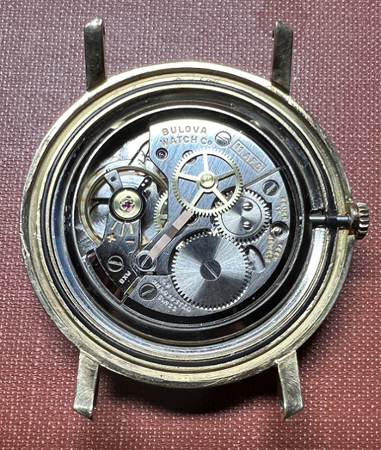 Movement - Unusual Back Gasket