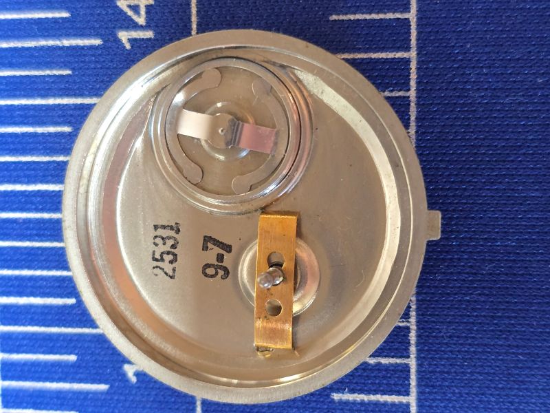 Inside case back