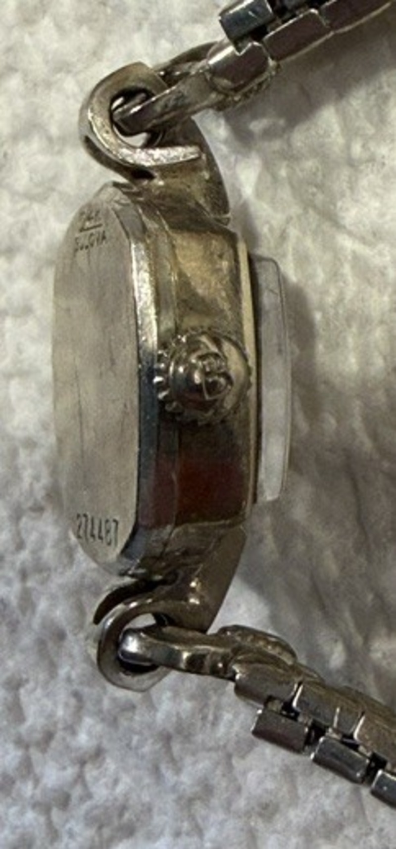 Stem 