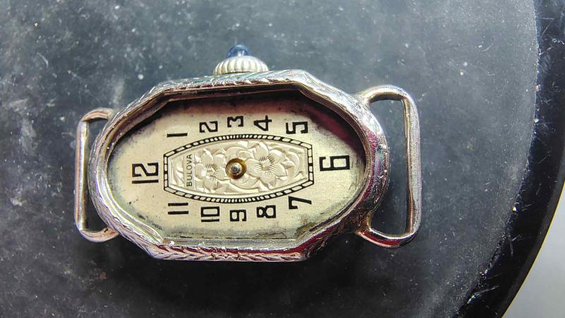 Whole Watch